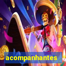 acompanhantes chamadas de video